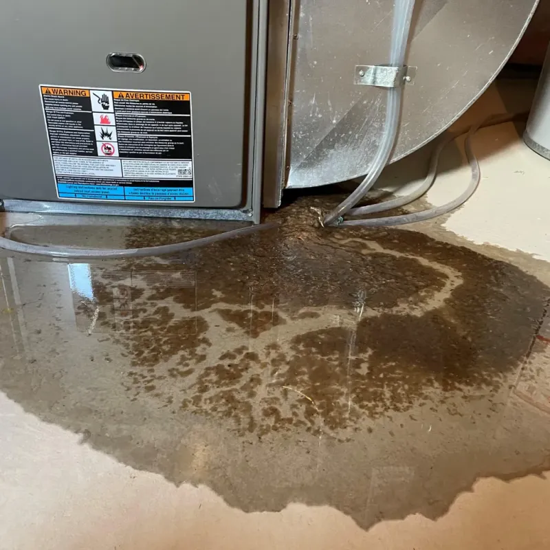 Appliance Leak Cleanup in Ettrick, VA