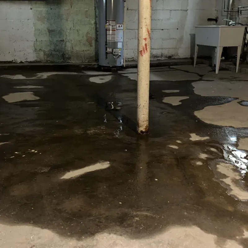 Emergency Water Extraction And Removal in Ettrick, VA